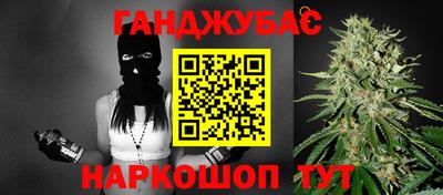 мдпв Новозыбков