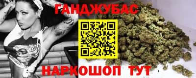 мдпв Новозыбков
