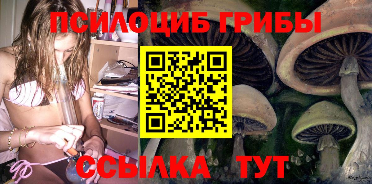 Галлюциногенные грибы прущие грибы Южноуральск