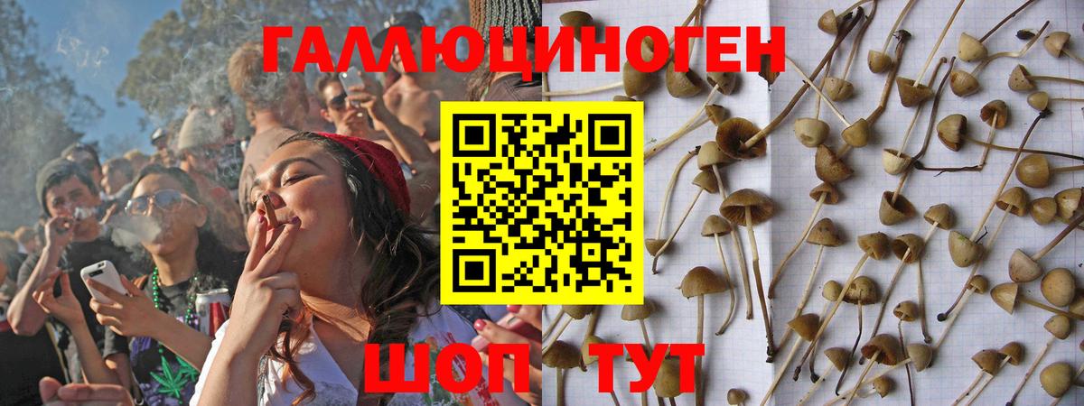 Галлюциногенные грибы Cubensis  Псилоцибиновые грибы ЛСД  Южноуральск  Вход с VPN 